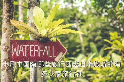 旅游团最新消息，珠海旅行团最新消息