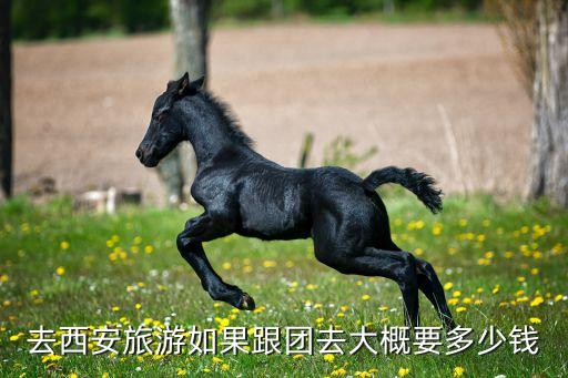 西安跟团游五天价格多少，西安旅游跟团多少钱