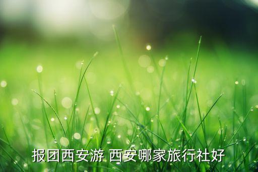 报团西安游 西安哪家旅行社好
