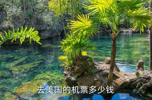 去美国的机票多少钱