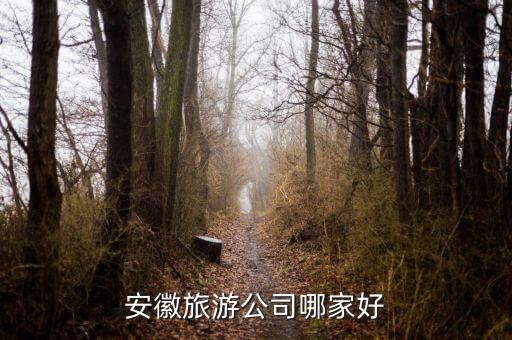 安徽旅游公司哪家好