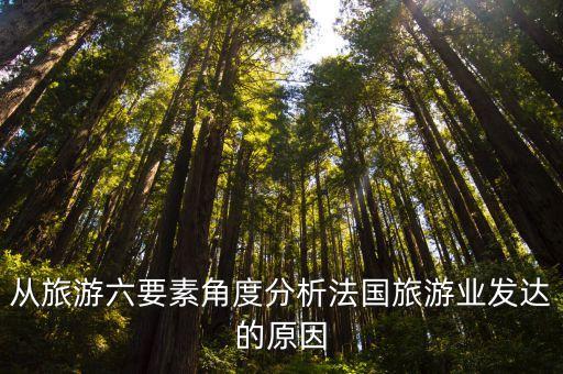 国外对旅游业的研究现状论文，从旅游六要素角度分析法国旅游业发达的原因