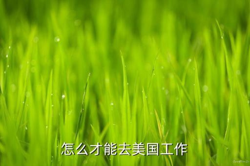 去美国打工怎么才能去，怎么可以去美国工作