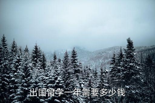出国留学一年需要多少钱
