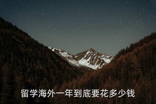 去外国留学多少钱一年，留学海外一年到底要花多少钱