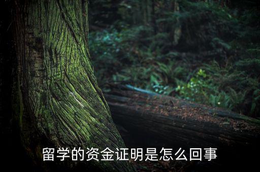 出国留学资金证明，出国留学资金证明怎样办理呢
