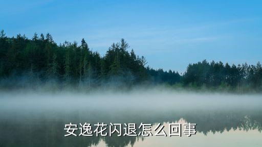 安逸花闪退怎么回事
