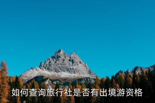如何查询旅行社是否有出境游资格