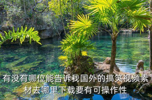 有没有哪位能告诉我国外的搞笑视频素材去哪里下载要有可操作性