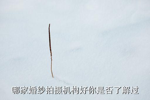 哪家婚纱拍摄机构好你是否了解过
