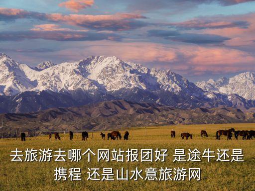 去旅游去哪个网站报团好 是途牛还是携程 还是山水意旅游网
