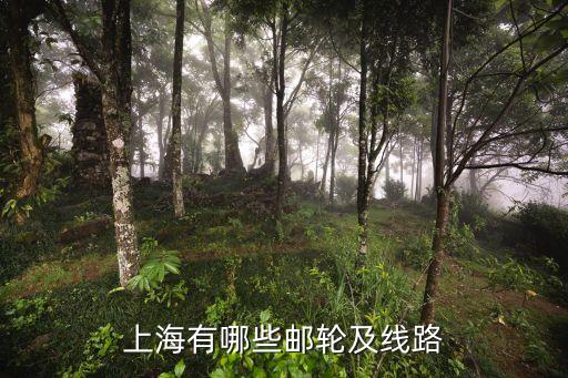 上海有哪些邮轮及线路