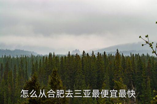 怎么从合肥去三亚最便宜最快