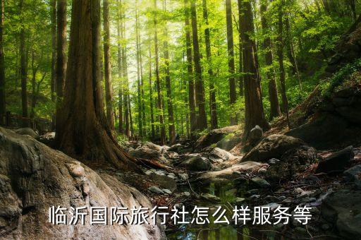 临沂国际旅行社怎么样服务等