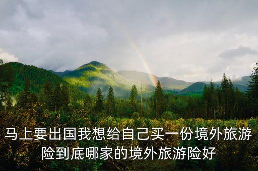 马上要出国我想给自己买一份境外旅游险到底哪家的境外旅游险好