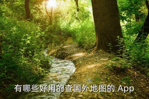 有哪些好用的查国外地图的 App