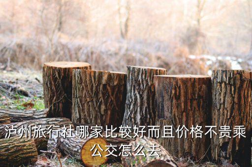 泸州旅行社哪家比较好而且价格不贵乘公交怎么去