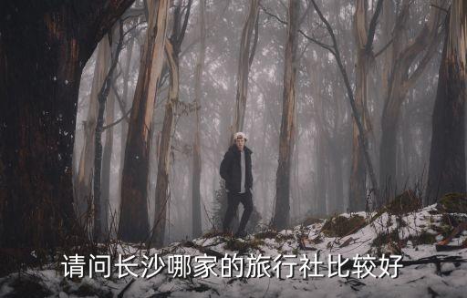 请问长沙哪家的旅行社比较好