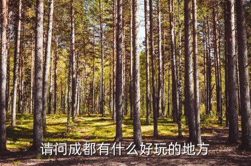 请问成都有什么好玩的地方