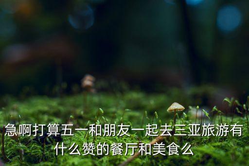急啊打算五一和朋友一起去三亚旅游有什么赞的餐厅和美食么