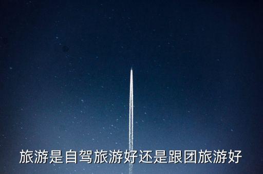 旅游是自驾旅游好还是跟团旅游好
