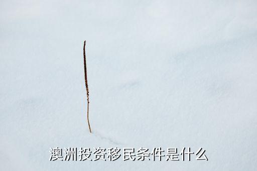 澳大利亚投资移民需要的条件，澳洲投资移民条件是什么