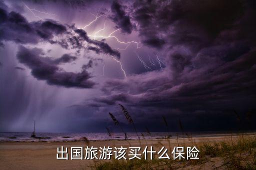 出国旅游该买什么保险