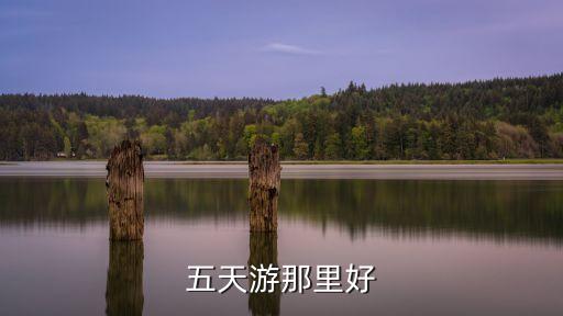 五天游那里好