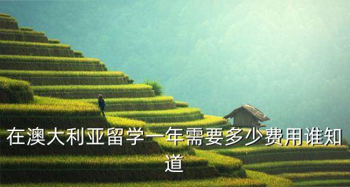 在澳大利亚留学一年需要多少费用谁知道