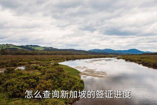 怎么查询新加坡的签证进度