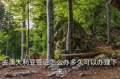 怎么申请澳大利亚签证最快，去澳大利亚签证怎么办多久可以办理下来