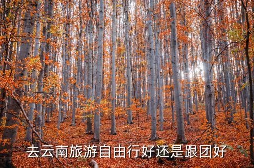 去云南旅游自由行好还是跟团好