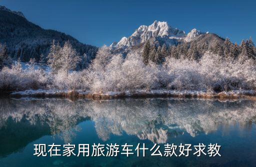 现在家用旅游车什么款好求教