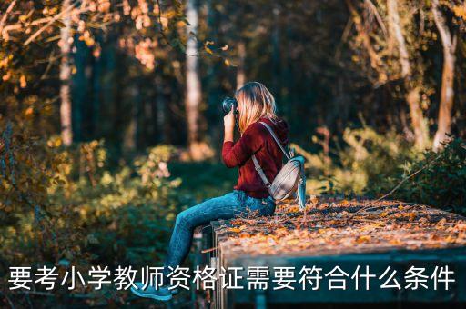 小学教资报名学历要求，要考小学教师资格证需要符合什么条件