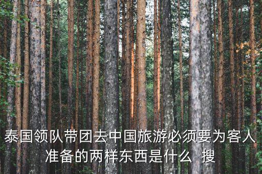 泰国来中国游玩攻略，泰国领队带团去中国旅游必须要为客人准备的两样东西是什么  搜