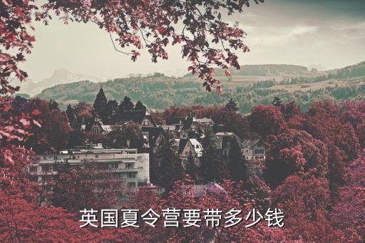 英国夏令营要带多少钱