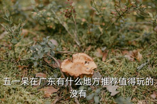 广东五一旅游景点推荐，五一长假去广东什么旅游地方玩比较好