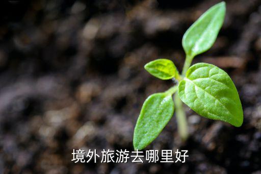 境外旅游去哪里好