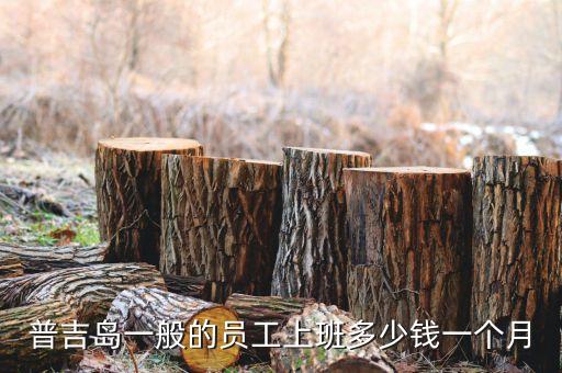 泰国打工一个月多少钱工资，泰国普通人一个月多少工资