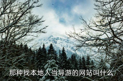 那种找本地人当导游的网站叫什么
