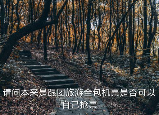 请问本来是跟团旅游全包机票是否可以自己抢票