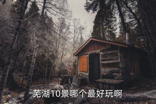 芜湖10景哪个最好玩啊