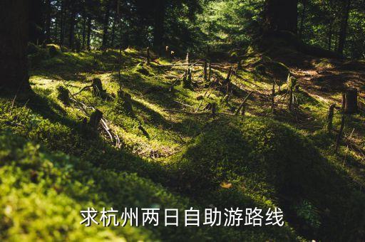 杭州2日游攻略自助游景点，求杭州两日自助游路线