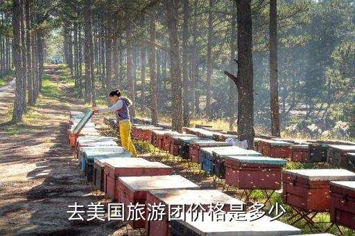 去美国旅游团价格是多少
