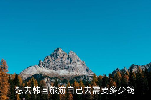 去韩国玩一个月要带多少钱，想去韩国旅游自己去需要多少钱