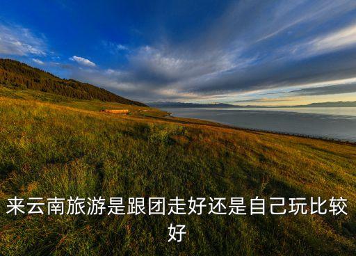 去云南旅游跟团合适还是自己合适，来云南旅游是跟团走好还是自己玩比较好