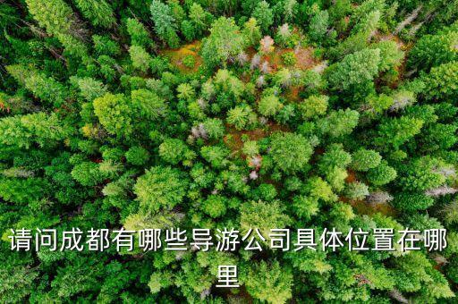 请问成都有哪些导游公司具体位置在哪里