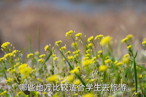 哪些地方比较适合学生去旅游