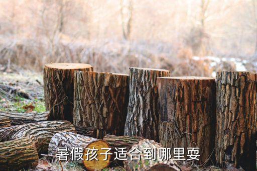 暑假孩子适合到哪里耍