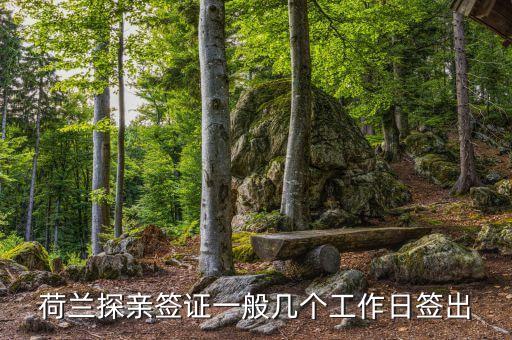 荷兰探亲签证一般几个工作日签出